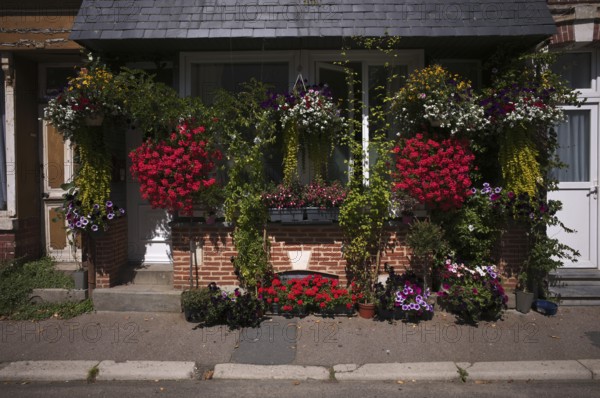 Flowers, floral decoration on a house, Yport, Normandy, Seine-Maritime, France