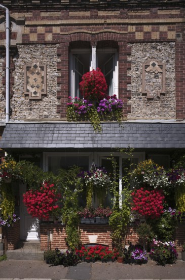 Flowers, floral decoration on a house, Yport, Normandy, Seine-Maritime, France