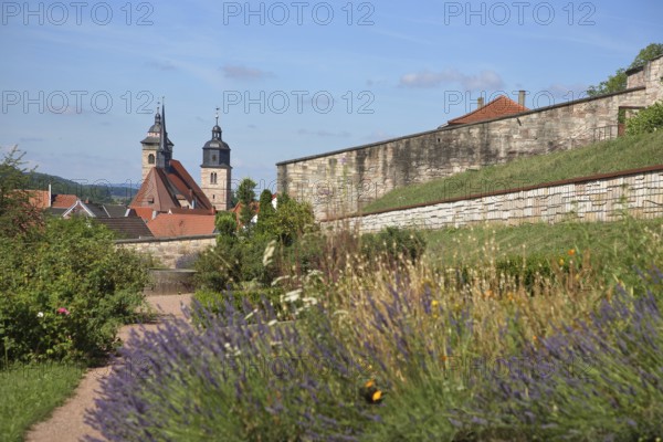 Terraced garden and St George's Church, flower bed, ornamental garden, Schmalkalden, Franconia, Thuringia, Germany