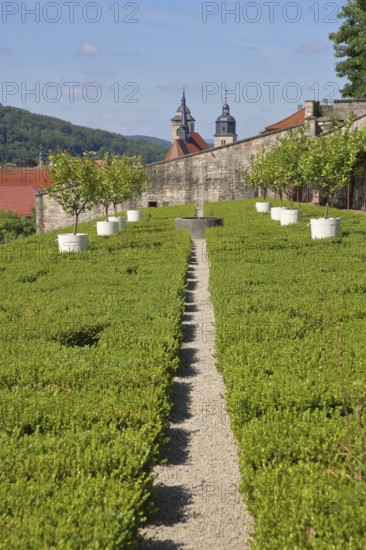Terrace garden with potted plants with St George's Church, ornamental garden, line, vanishing point, terrace garden, Schmalkalden, Franconia, Thuringia, Germany