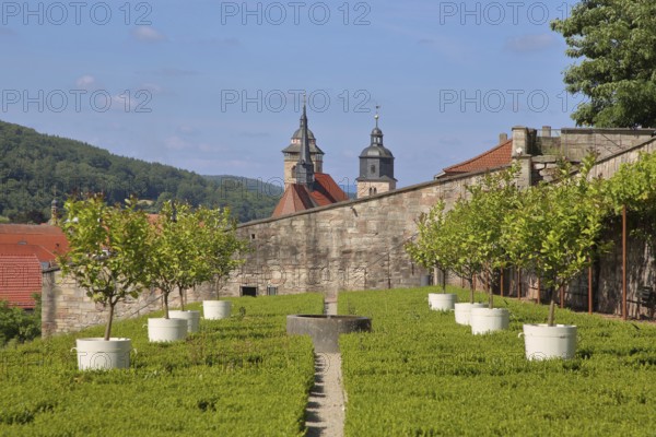 Terrace garden with potted plants with St George's Church, ornamental garden, cityscape, terrace garden, Schmalkalden, Franconia, Thuringia, Germany