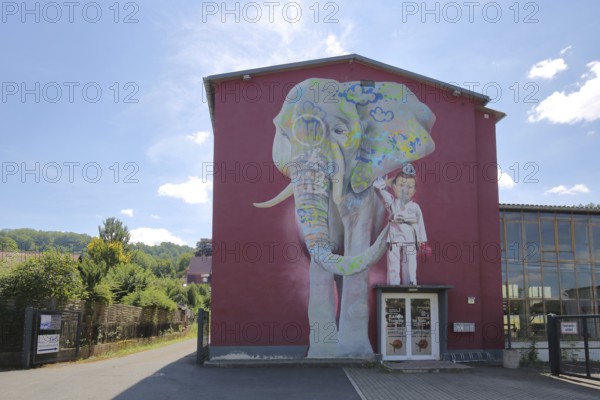 Mural The Elephant by CASE 2013, street art, graffiti, mural, elephant figure, child, boy, front door, standing, sports school, karate, house facade, wine red, Schmalkalden, Franconia, Thuringia, Germany