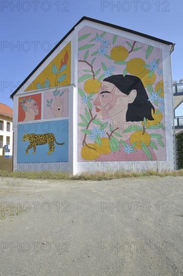 Mural The Revival by Alin Mor 2022, street art, graffiti, mural, house facade, revival, revive, leopard, jaguar, predator, head, face, hand, eye, fruit, fruit, Schmalkalden, Franconia, Thuringia, Germany