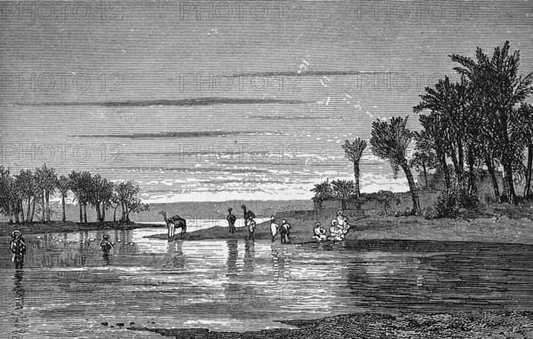 Landscape near Saint Louis in the border region of Senegal and Gambia, Senegal River, palm trees, camels, people, historical illustration 1986