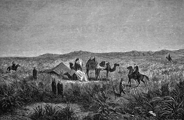 Tent camp south of the Algerian Atlas Mountains, camels, men, woman, bush vegetation, horses, Algeria, historical illustration 1986
