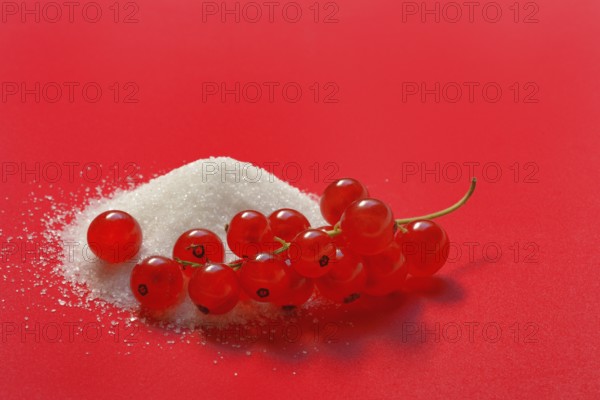 Redcurrants and piles of sugar
