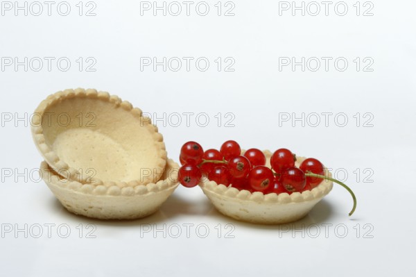 Redcurrant in cake tartlets, ready-made tartelette