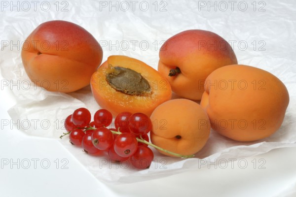 Apricots and redcurrants, Prunus armeniaca and Ribes rubrum