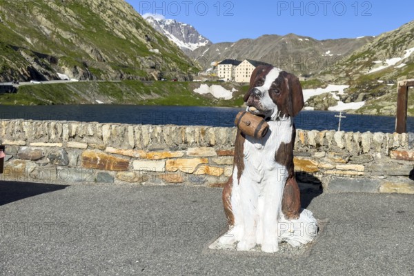 In front life-size figure of sitting dog Saint Bernard in original colours of Hunderassecwith small barrel tied around neck, behind Lac du Grand St-Bernard at Great Saint Bernard Pass, Colle del Gran San Bernardo, Col du Grand Saint Bernard, in the background Augerge l'Hospice hostel, Aosta Valley region, Italy, Valais, Switzerland