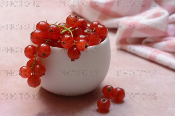 Redcurrants in small bowls, Ribes rubrum
