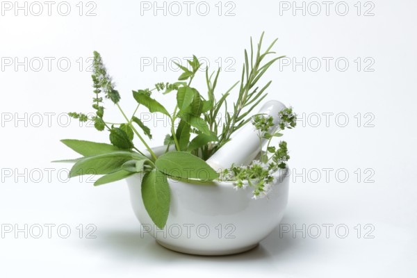 Herbs in grating bowl, kitchen herbs