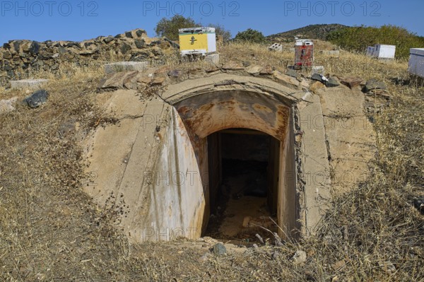 Lost Place, concrete bunker entrance in dry landscape under blue sky with vegetation, Italian air defence position, ground defence position, PL306 with 6 cannons, WW2, Vigla Mountain, Vigla, above Lakki, Lakki, Leros, Dodecanese, Girechian Islands, Greece