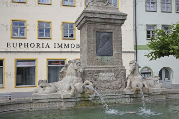 Duke George Fountain with relief of Duke George II of Saxe-Meiningen, monument, water basin, water jets, two reclining horse figures, market square, Hildburghausen, Franconia, Thuringia, Germany