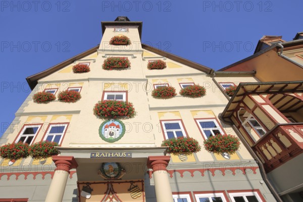 Town hall with view upwards, entrance with decorations and town coat of arms, view from below, Schleusingen, Thuringia, Germany