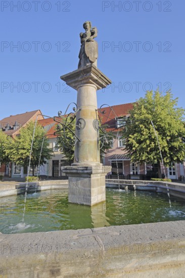 Market fountain with sculpture, water basin, Schleusingen, Thuringia, Germany