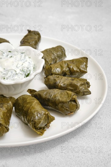 Freshly cooked dolma are plated with a side of yogurt sauce, demonstrating a homely cooking experience. Grapevine leaves are meticulously wrapped around a savory filling for a delicious meal