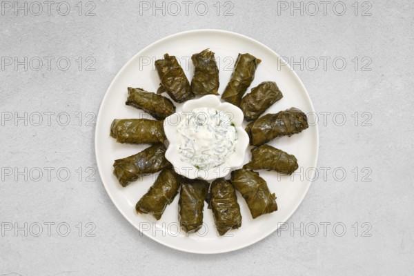 Freshly prepared dolma sits on a plate, featuring stuffed vine leaves neatly arranged. A bowl of creamy yogurt dip lies in the center, perfect for enhancing the dish's flavors