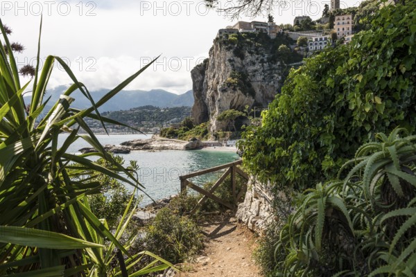 Hiking trail by the sea, Menton, Alpes Maritimes, Provence Alpes Cote d'Azur, French Riviera, South of France, France