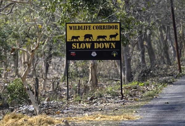 Shield Wildlife Corridor, Corbett National Park, near Ramnagar, Uttarakhand State, India