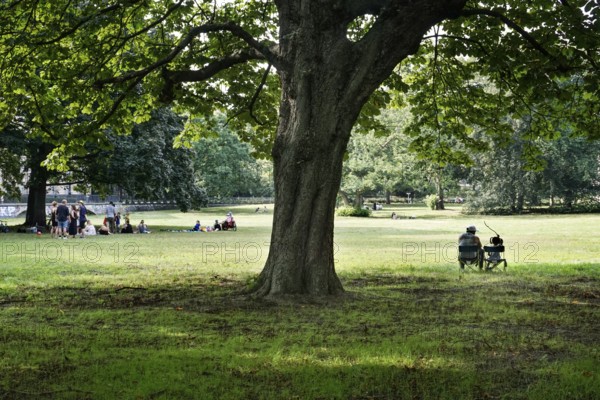 Group of people meeting in Kleistpark in summer weather, a man sits with his daughter under a shady tree, Berlin, 20 July 2025, Berlin, Germany