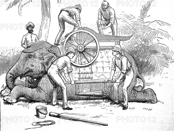 Charging a gun on an elephant in Burma in 1870, Historical, digitally restored reproduction from a 19th century original, Record date not stated