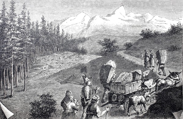 Alpine farmers on their way to the mountain pasture with cow team and tools, Alps, Tyrol, around 1880, Austria, Historical, digitally restored reproduction from a 19th century original, Record date not stated