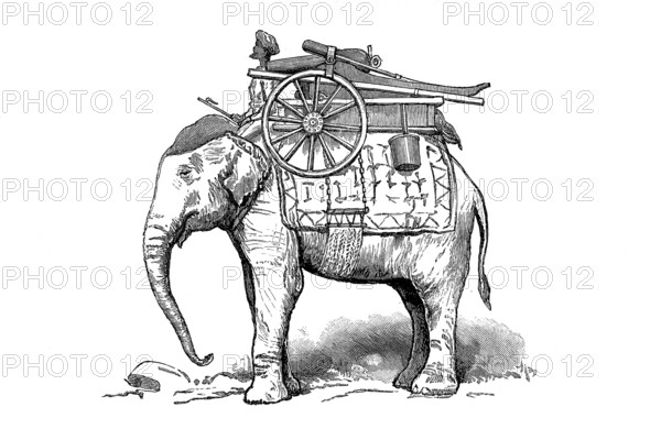 Gun elephant in Burma in 1870, Historical, digitally restored reproduction from a 19th century original, Record date not stated