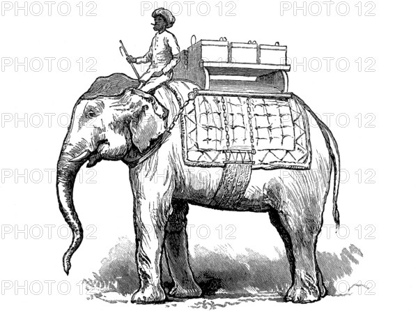 Ammunition carrier, rider and boxes with ammunition on an elephant in Burma in 1870, Historical, digitally restored reproduction from a 19th century original, Record date not stated