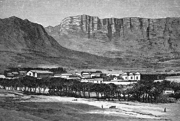 Cape Town with Table Mountain, Mesa, sandstone, quartzitic Table Mountain sandstone, escarpment, geology, settlement, group of trees, mountain landscape, South Africa, historical illustration 1896