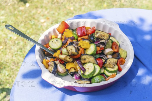 Barbecue in the garden. Grilled vegetables instead of meat. Vegan and vegetarian is the trend. Münsingen, Baden-Württemberg, Germany