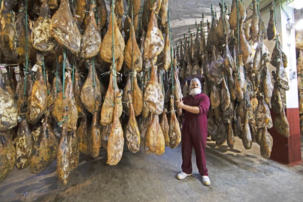 Iberico ham warehouse, Iberico ham factory in Villares de la Reina, province of Salamanca, Castile and Leon, Spain