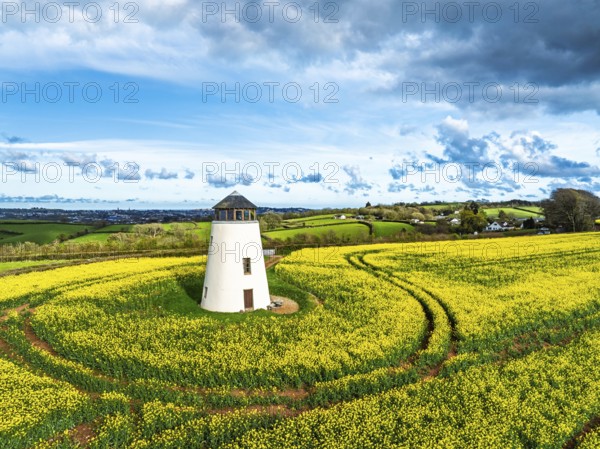 Rapeseed fields and Farms over Devon Windmill from a drone, Torquay, Devon, England, United Kingdom