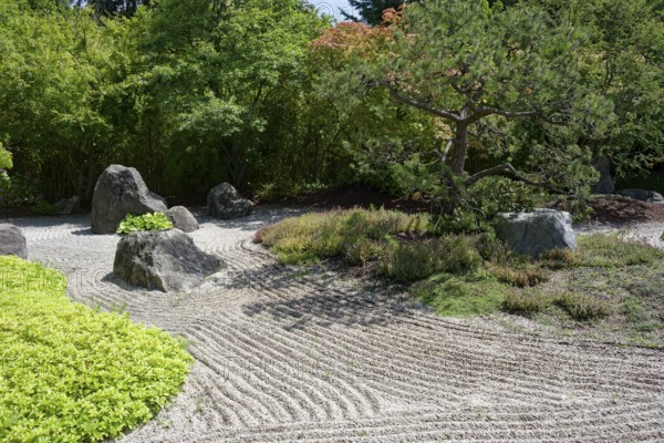 Japanese garden, castle park, Museum Zeitzer Schloss Moritzburg, early baroque style, Zeitz, Saxony-Anhalt, Germany