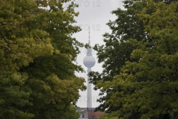 Berlin television tower with cloud-covered top between trees in the government district in Berlin, 21.07.2025