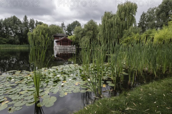 Chinese Garden, Gardens of the World, Berlin, Germany