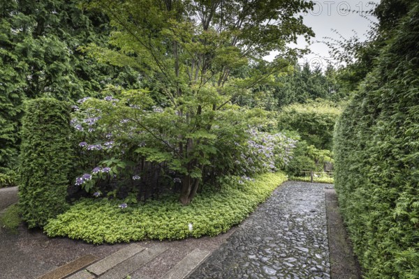 Japanese Garden, Gardens of the World, Berlin, Germany