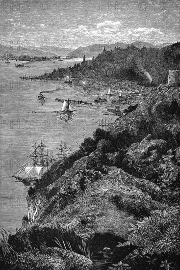 St. Lawrence River near Quebec, timber export, cargo ships, tall ships, shore landscape, forests, mountains, economy, trade, export, Canada, historical illustration 1896