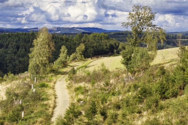 Narrow path through wooded hilly landscape under a partly cloudy sky, Kreuztal, Siegen