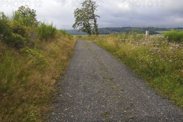 A lonely gravel path through meadows on a cloudy day, Siegen