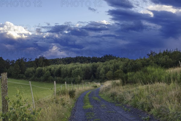 A rural path leads through a green landscape under a cloudy evening sky, Siegen