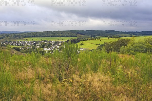 A village surrounded by wide green fields and hills, Langenholdinghausen, Siegen
