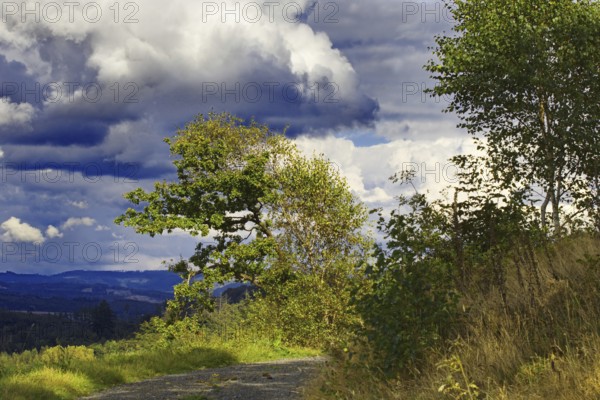 Dramatic sky over a rural landscape with green trees and meadows, Kreuztal, Siegerland