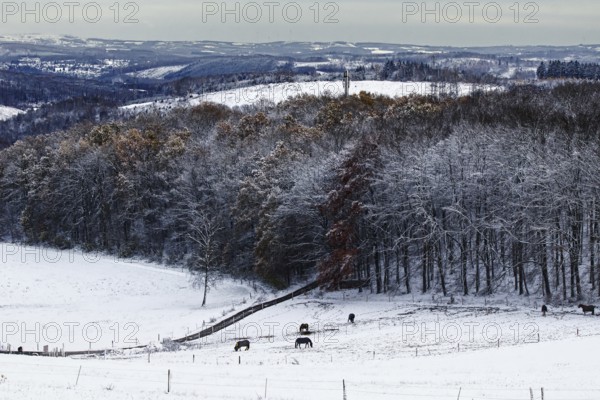 Snowy landscape with hills and forests under a cloudy sky, calm atmosphere, Siegen