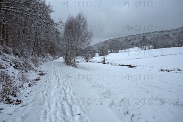 Snow-covered path in a forest with winter landscape and cloudy sky, Siegen