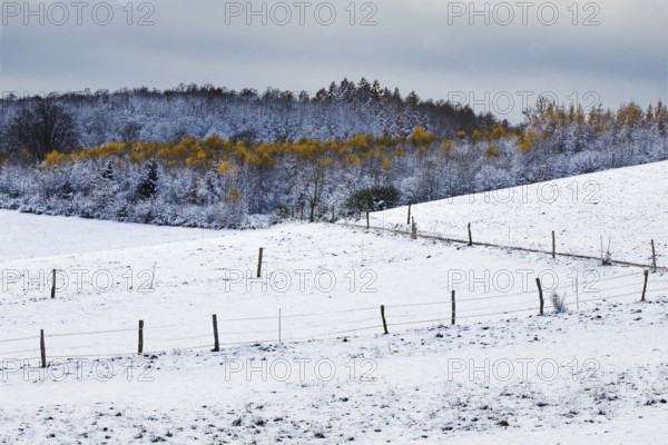 Snow-covered hill with trees in the background, enclosed by a wire fence, Siegen