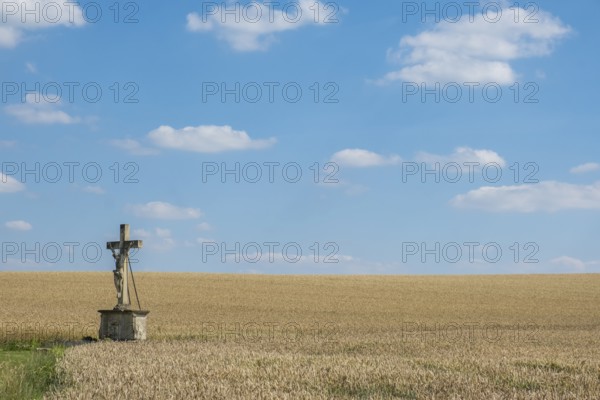 A stone cross stands in a wheat field under a blue sky with light clouds, Münsterland, North Rhine-Westphalia, Germany