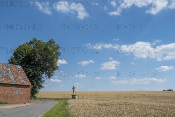 A rural house next to a field with a field cross and a tree in the foreground under a blue sky with clouds, Münsterland, North Rhine-Westphalia, Germany