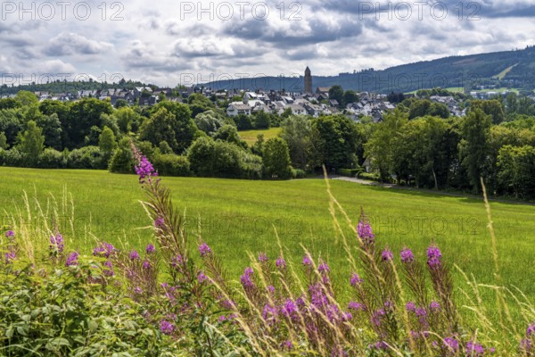 Landscape along the Sauerlandring cycle path, an 84 km long circular cycle path between the towns of Finnentrop, Eslohe, Schmallenberg and Lennestadt, mostly on former railway lines, here near Schmallenberg, Sauerland, North Rhine-Westphalia, Germany