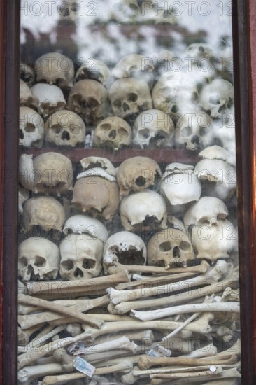 Shrine with human skull, memorial to the victims of the Khmer Rouge regime, Wat Thmei, Siem Reap, Cambodia