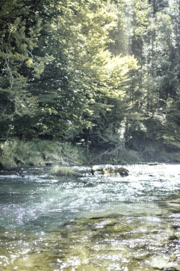 Mangfall near Bruckmühl, district of Miesbach, Upper Bavaria, Bavaria, Germany